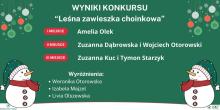 Wyniki konkursu "Leśna zawieszka choinkowa"