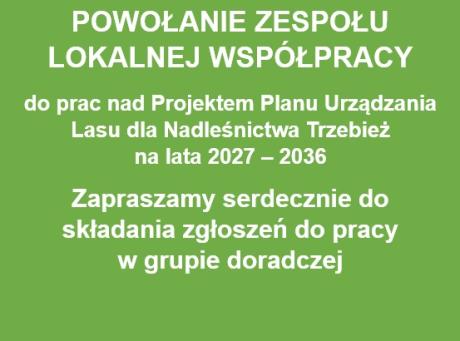 Powołanie Zespołu Lokalnej Współpracy