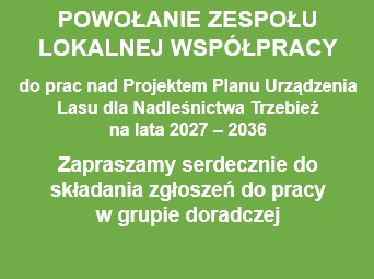 Powołanie Zespołu Lokalnej Współpracy